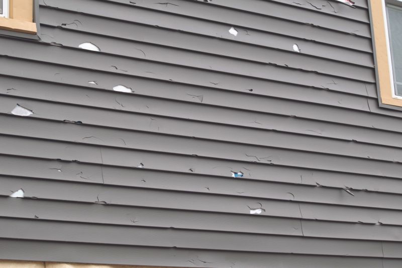Siding Installation in Timnath, CO